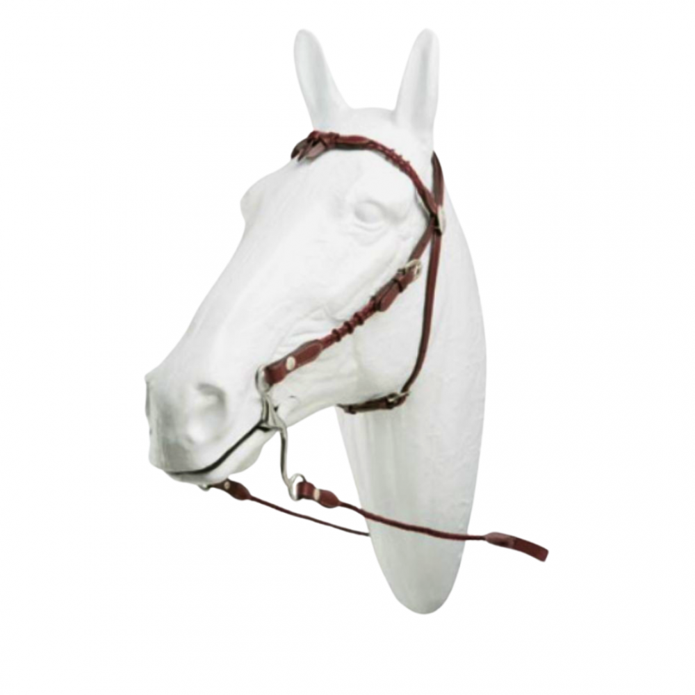 CABEZADA HH TEJANA WACO