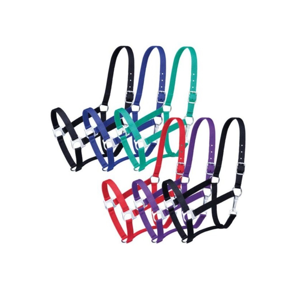 JAQUIMA TOUGH-1 ECONOMICA