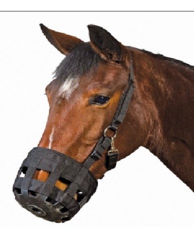 JAQUIMON + MUZZLE JAQUIMON + MUZZLE