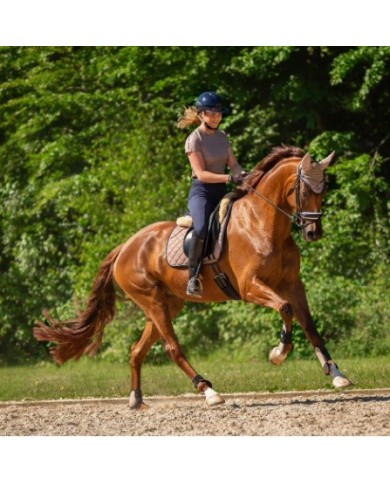 JUEGO DE TENDONERAS Y TOBILLERAS BRANDS JUEGO DE TENDONERAS Y TOBILLERAS BRANDS