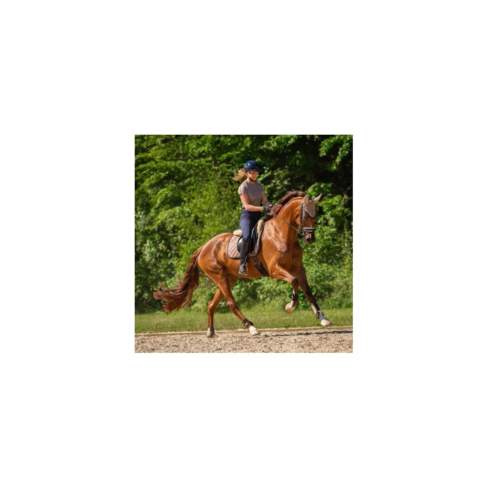 JUEGO DE TENDONERAS Y TOBILLERAS BRANDS