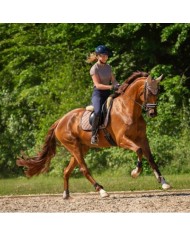 JUEGO DE TENDONERAS Y TOBILLERAS BRANDS