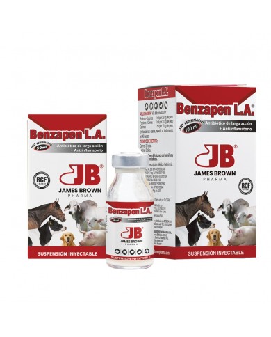 BENZAPEN LA 100 ML
