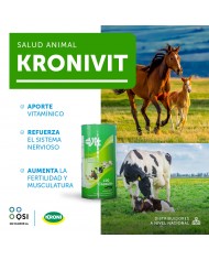 ENERGIZANTE ALE-BET 100 ML ENERGIZANTE ALE-BET 100 ML