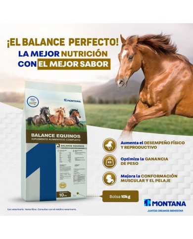SAL MINERAL BALANCE EQUINOS 10 KG SAL MINERAL BALANCE EQUINOS 10 KG