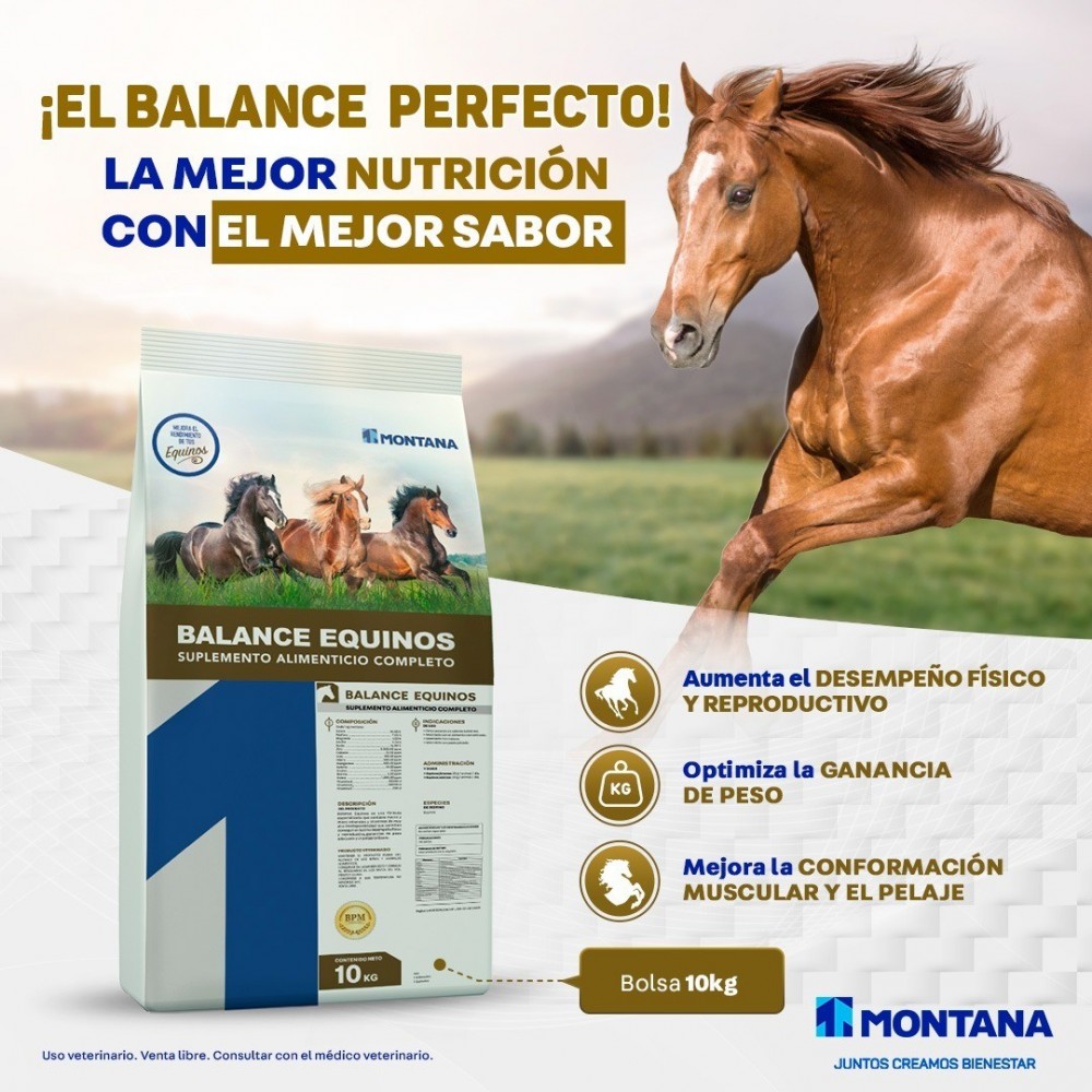 SAL MINERAL BALANCE EQUINOS 10 KG