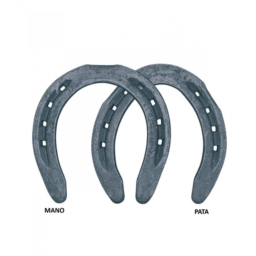 HERRADURA PESTAÑADA MP/PDP LA MONTAÑA
