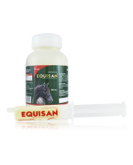 DORAQUEST DUO 6.73 G