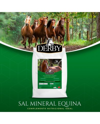 SAL MINERALIZADA DERBY 20 KG SAL MINERALIZADA DERBY 20 KG