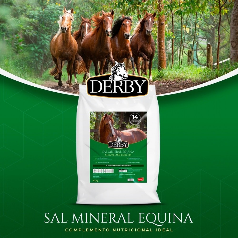 SAL MINERALIZADA DERBY 20 KG