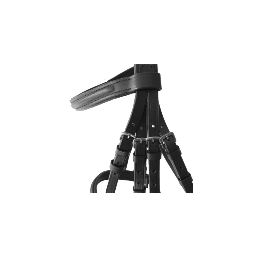 CABEZADA HH AYRA DOBLE RIENDA NEGRA