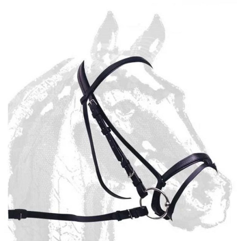 CABEZADA MRJ DASLO RAID