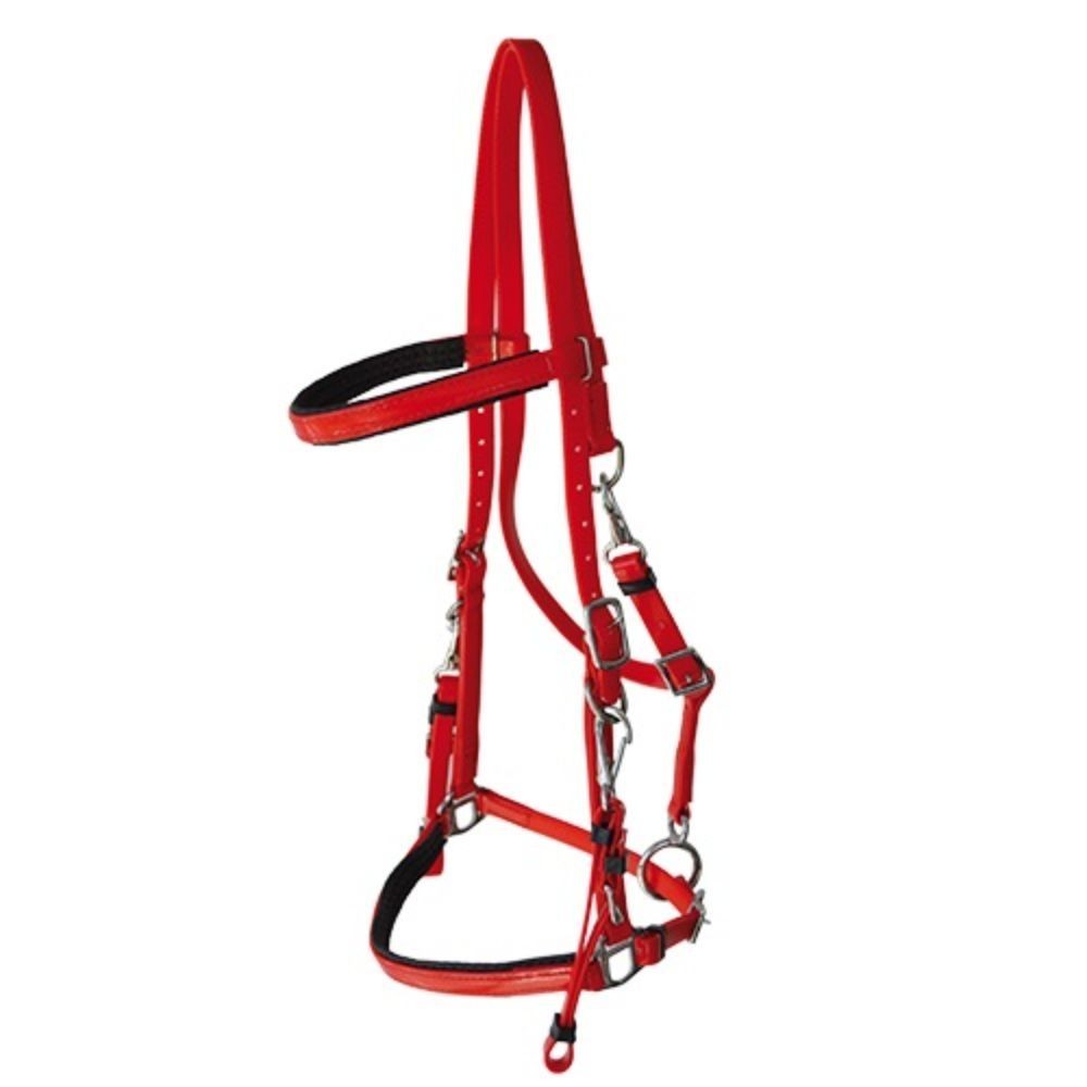 CABEZADA MRJ DASLO RAID