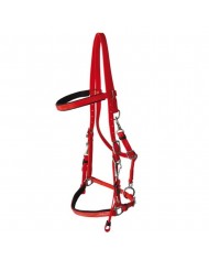 CABEZADA MRJ DASLO RAID