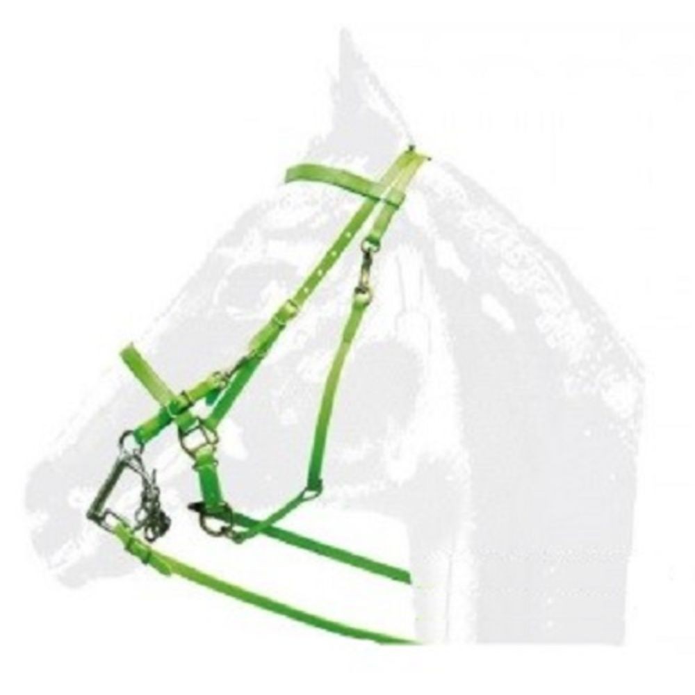 CABEZADA MRJ DASLO RAID