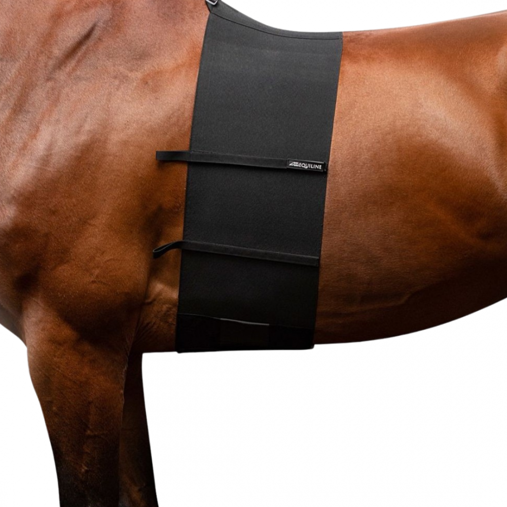 FAJA PROTECTORA DE ESPUELAS