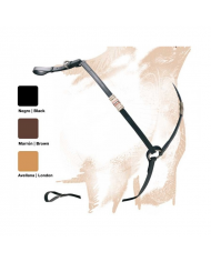 GALAPAGO SALTO DINASTY JP (COMBO)