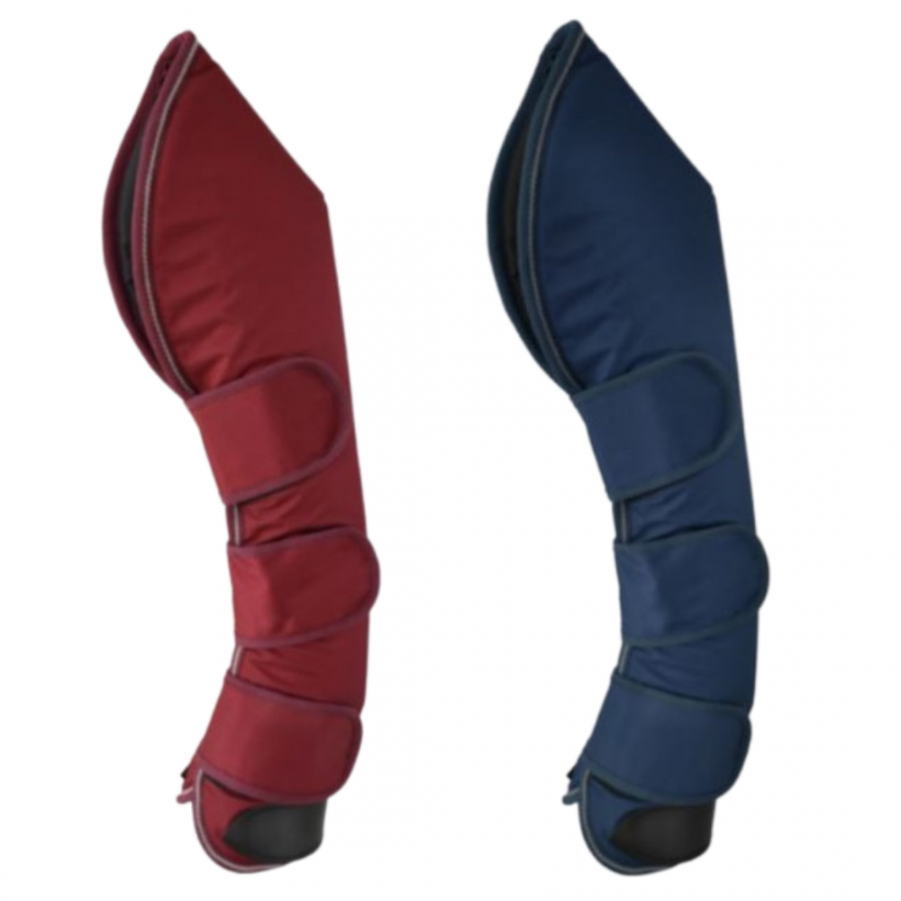 PROTECTORES DE TRANSPORTE LEXHIS