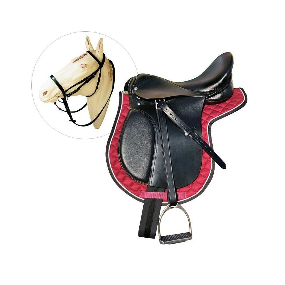 GALAPAGO EQUIPO ESCUELA ADULTO