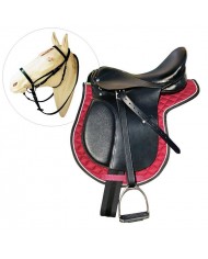 GALAPAGO EQUIPO ESCUELA NIÑO