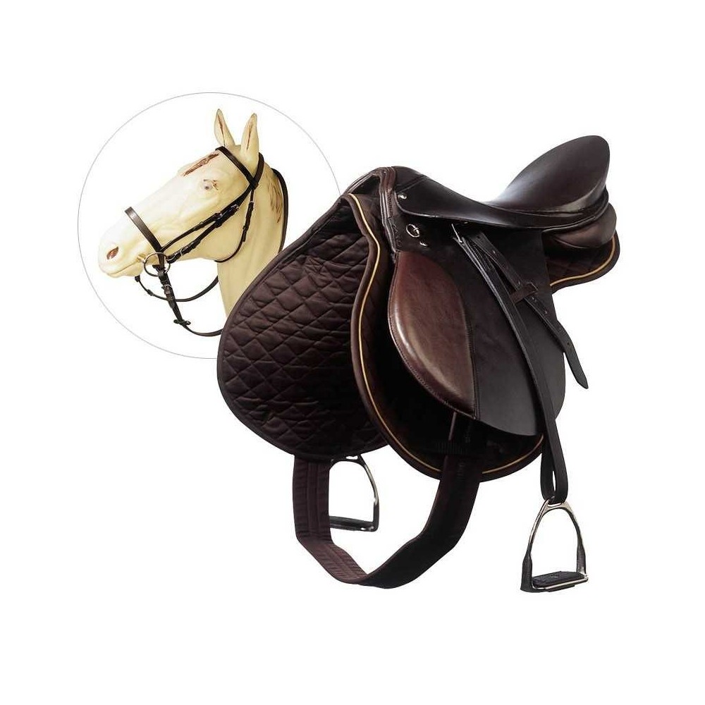 GALAPAGO EQUIPO ESCUELA ADULTO