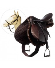 GALAPAGO EQUIPO ESCUELA ADULTO