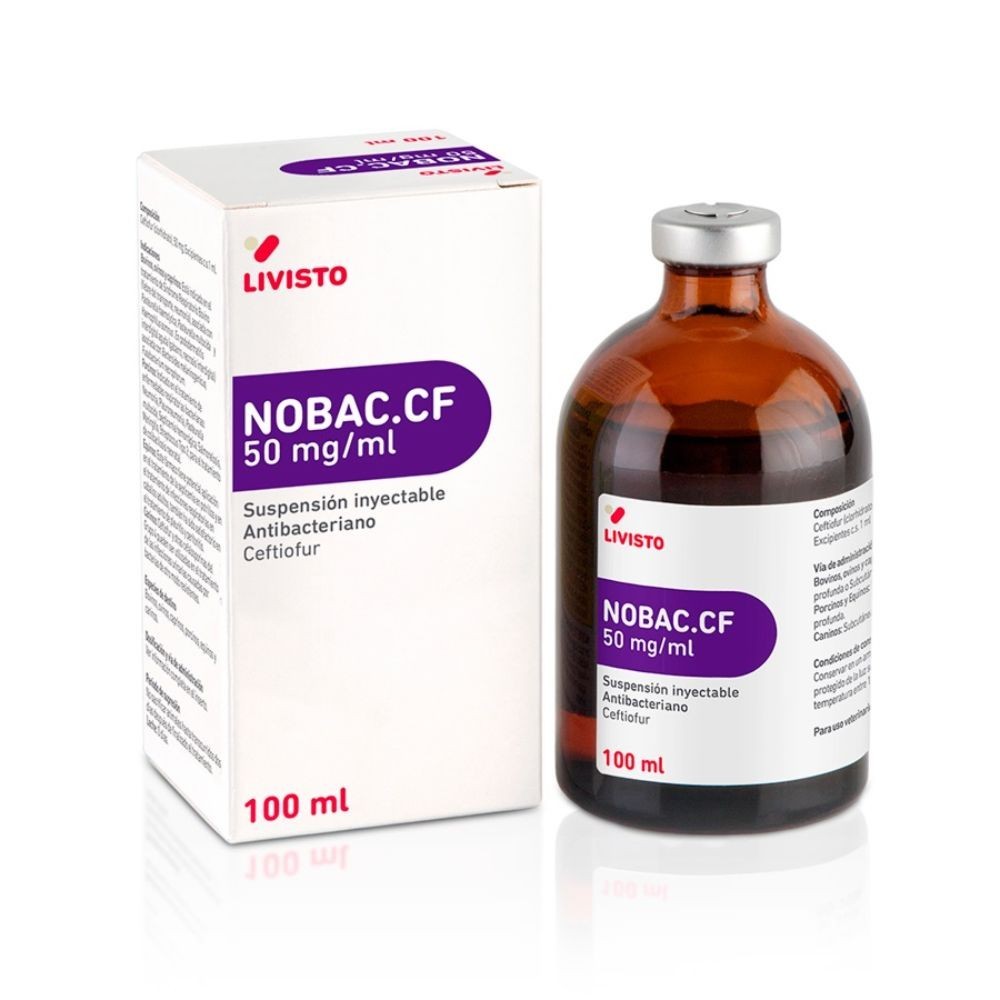 NOBAC.CF