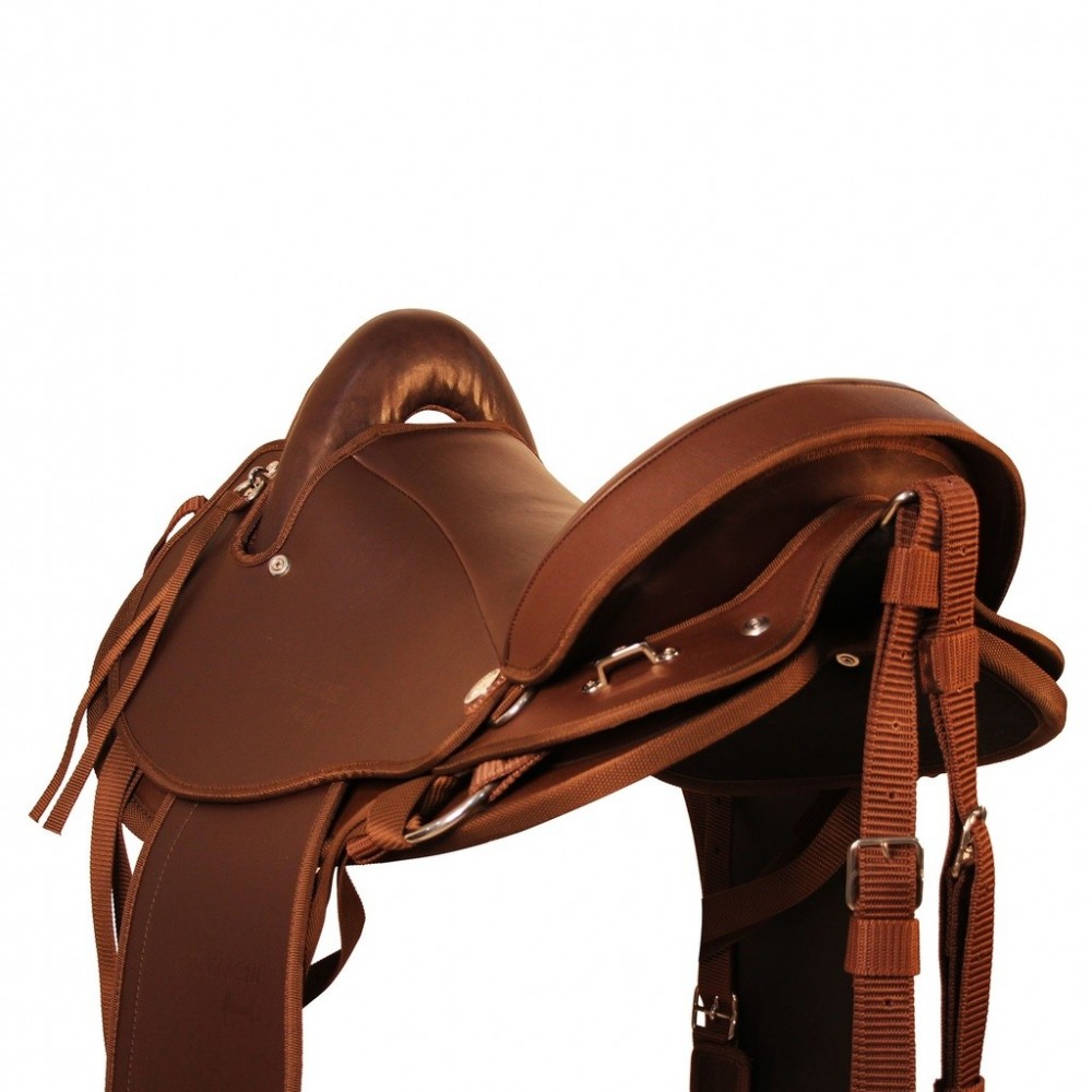 TEREQUE APALACHE SINTETICO