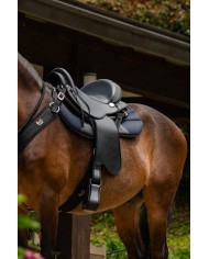 TEREQUE APALACHE SINTETICO