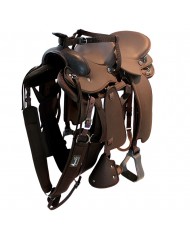 TEREQUE APALACHE SINTETICO