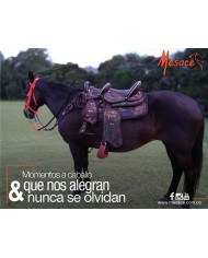 SILLA / TEREQUE DOBLE NIÑO SINTETICO