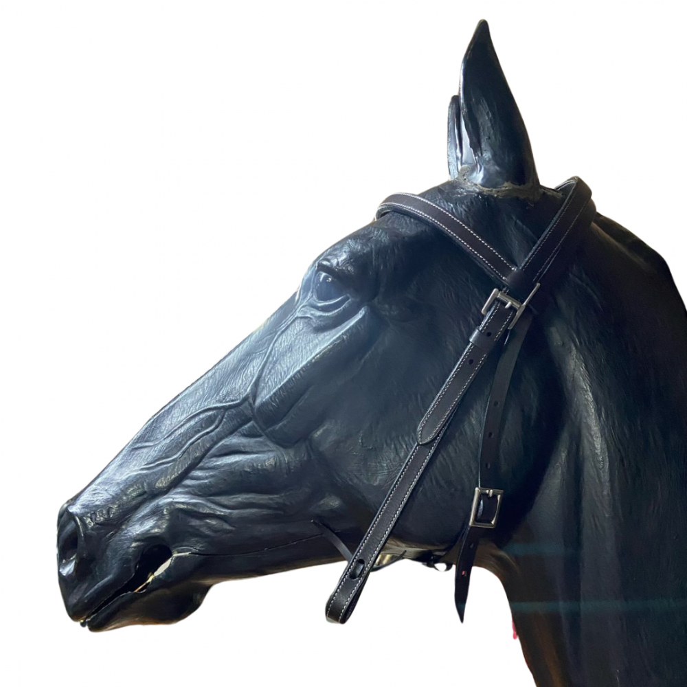 CABEZADA AMERICANA FUTURITY