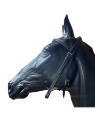 CABEZADA AMERICANA FUTURITY