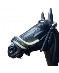 CABEZADA AMERICANA FUTURITY