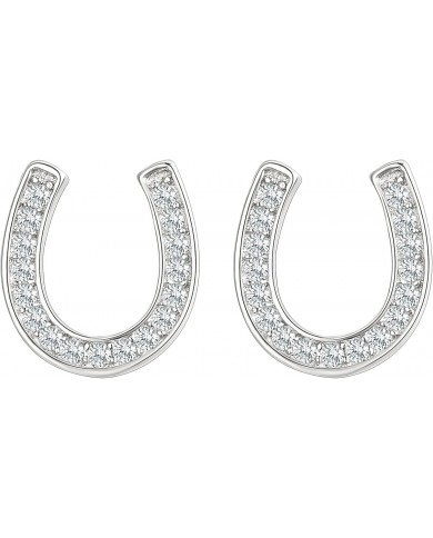 ARETES CON PIEDRA EN HERRADURA SECRET BOX