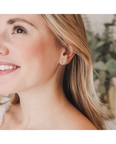 ARETES CON PIEDRA EN HERRADURA SECRET BOX