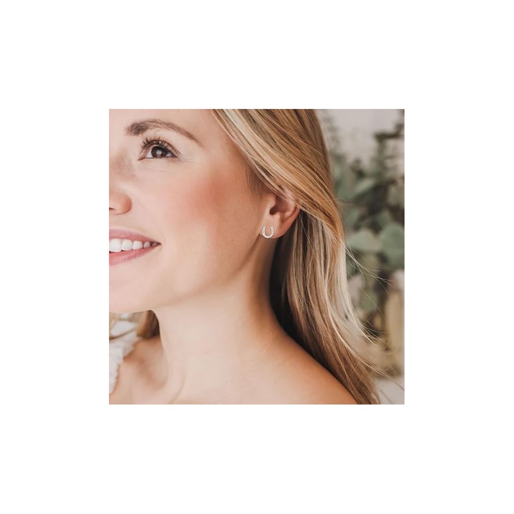 ARETES CON PIEDRA EN HERRADURA SECRET BOX