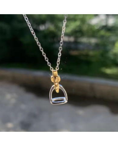 COLLAR RHODIUM 2 TONOS ESTRIBO