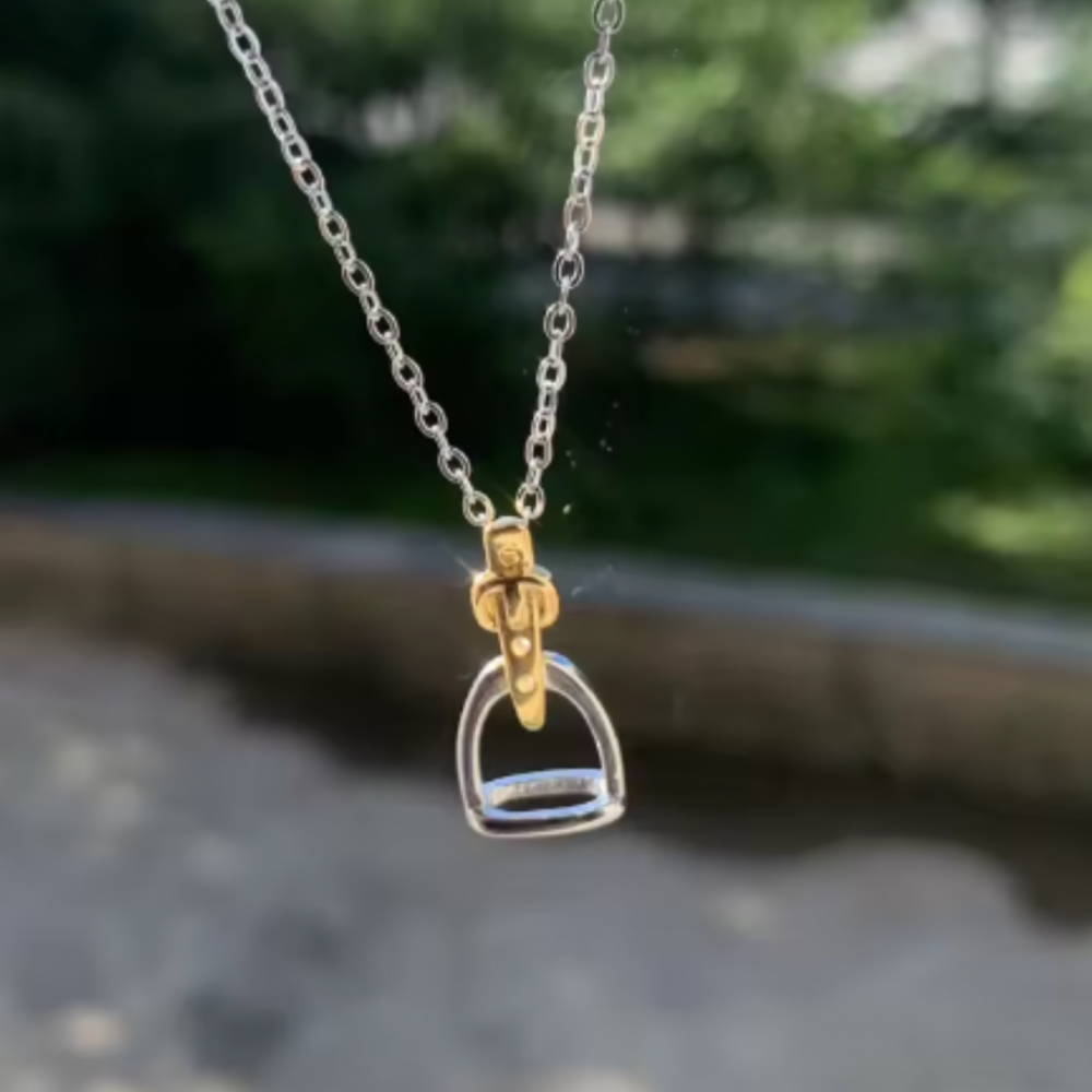 COLLAR RHODIUM 2 TONOS ESTRIBO