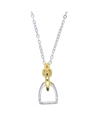 COLLAR RHODIUM 2 TONOS ESTRIBO