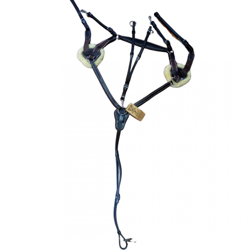 PECHERA EQUITARE 5 PUNTOS CADENCE