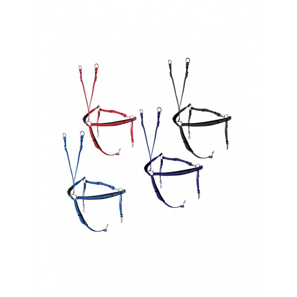 PECHOPETRAL RAID LEXHIS BIOTHANE