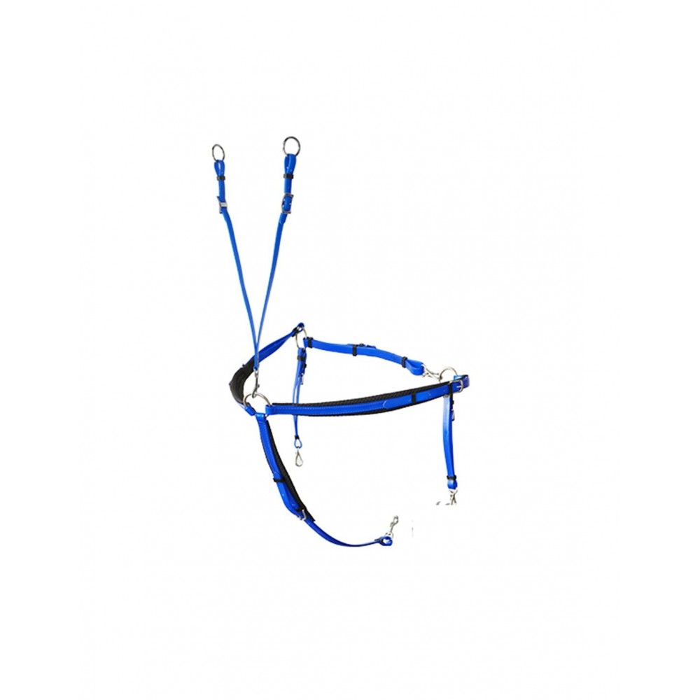 PECHOPETRAL RAID LEXHIS BIOTHANE