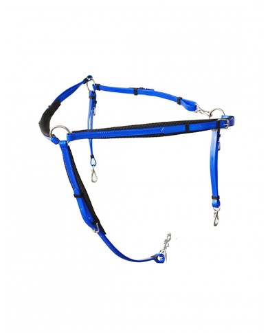 PECHOPETRAL RAID LEXHIS BIOTHANE PECHOPETRAL RAID LEXHIS BIOTHANE