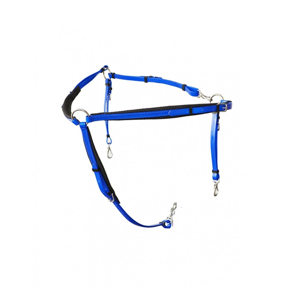 PECHOPETRAL RAID LEXHIS BIOTHANE