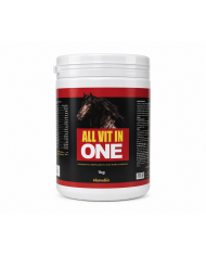ALL VIT IN ONE