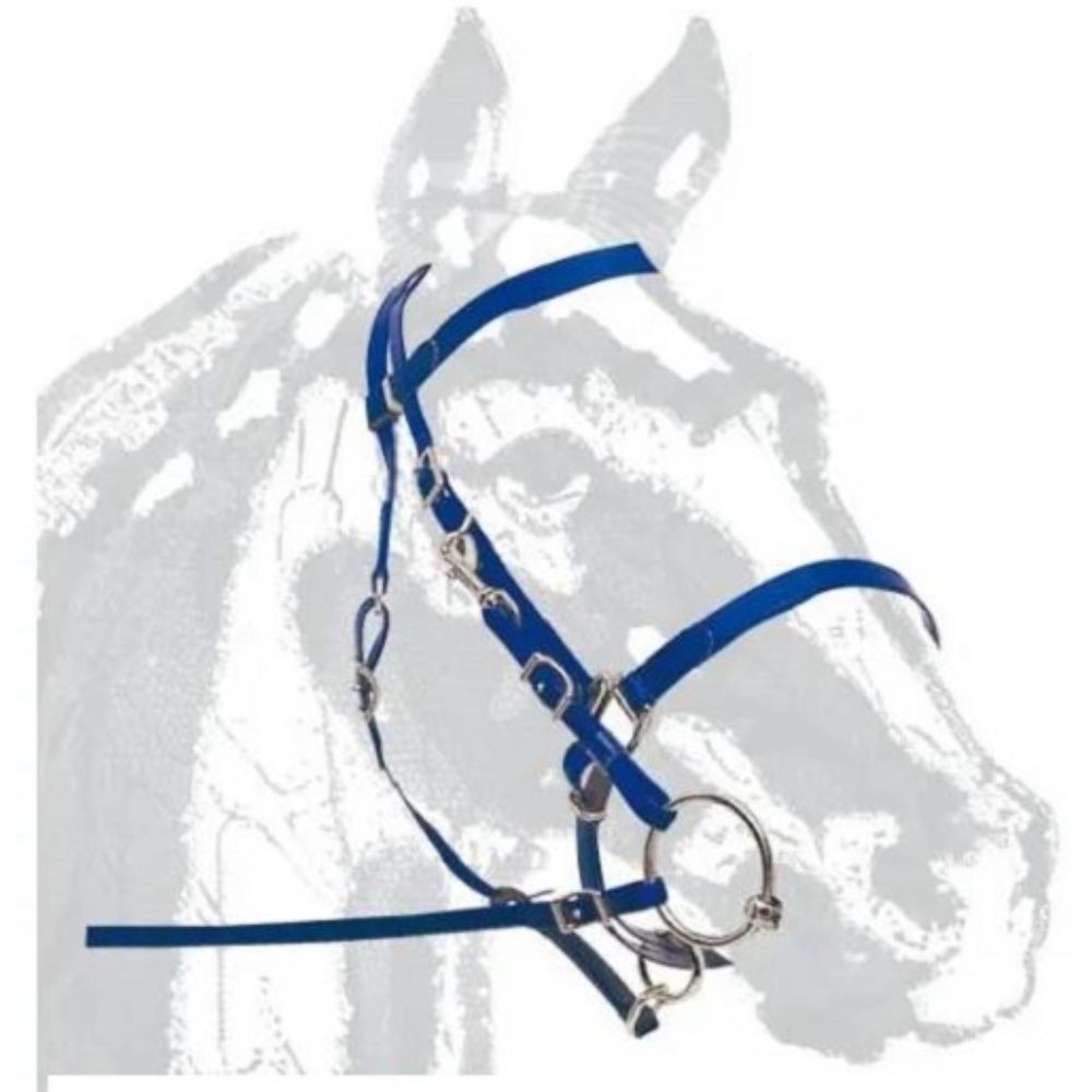 CABEZADA MRJ DASLO RAID