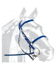 CABEZADA MRJ DASLO RAID