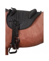 GALAPAGO EQUIPO ESCUELA ADULTO