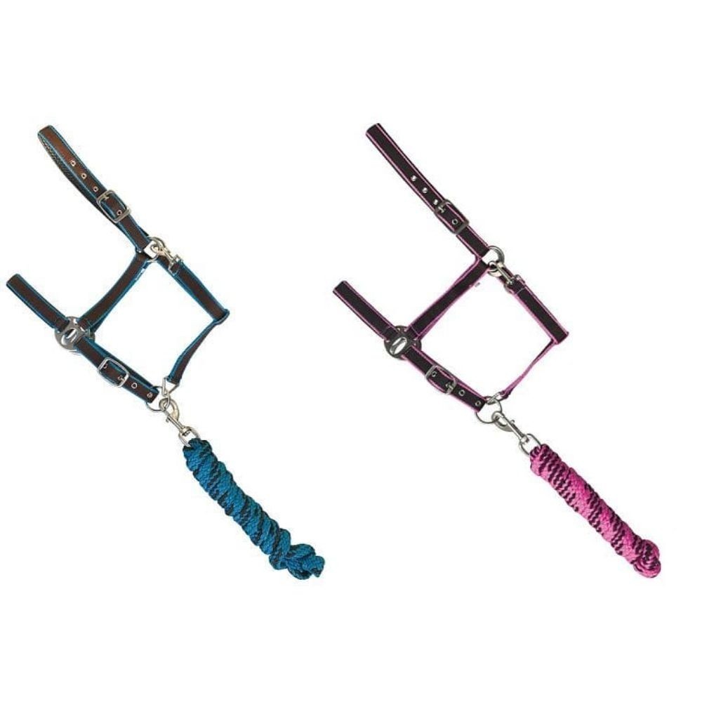 JAQUIMON Y TIRO CENTAUR